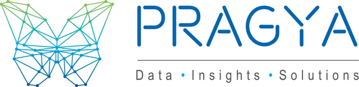 Pragya Data Insights Solutions